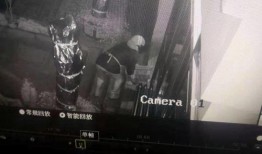 如东爆料视频大全,揭秘当地热点事件与民生焦点