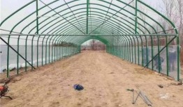 济南大棚爆料事件最新,揭开农业领域黑幕的真相揭露